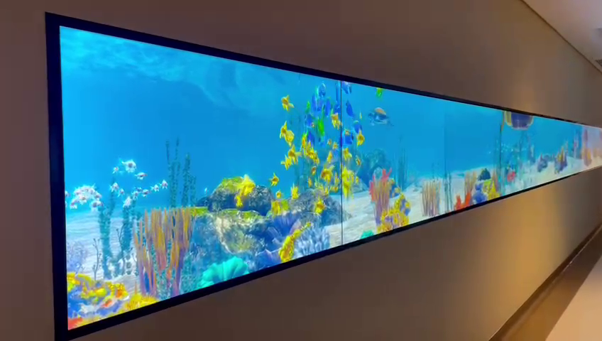 Suleman Al Habib Hospital Interactive Aquarium Video Wall